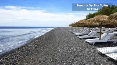 Tamarix Del Mar