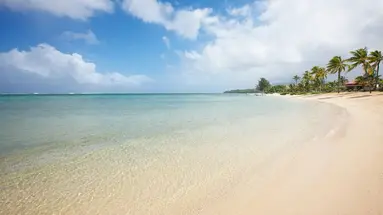 Tamassa
