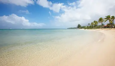 Tamassa