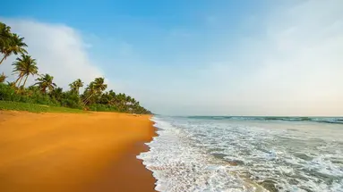 Taprobana Wadduwa