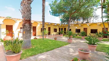 Terme Principe