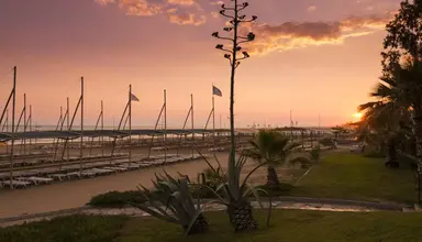 Terrace Beach Resort