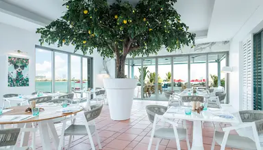 Th8 Palm Dubai Beach Resort Vignette Collection