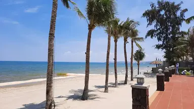 Thai Hoa