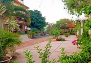 Thai Hoa