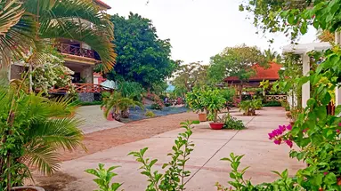 Thai Hoa