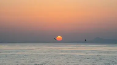 Thalassi