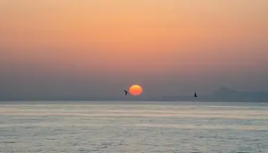 Thalassi