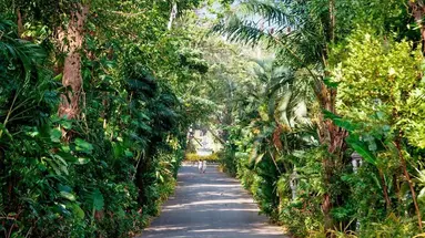Thavorn Palm Beach Resort