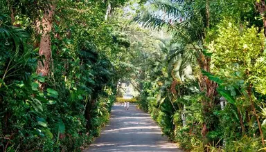 Thavorn Palm Beach Resort