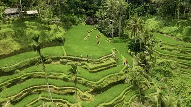 The Alila Ubud