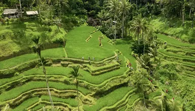 The Alila Ubud
