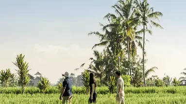 The Alila Ubud