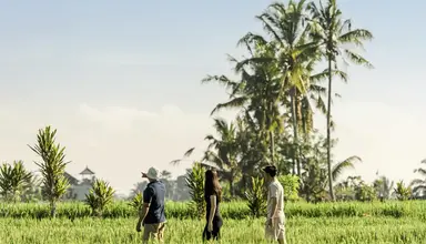 The Alila Ubud