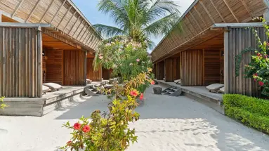 The Barefoot Eco