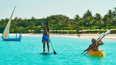 The Barefoot Eco