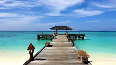 The Barefoot Eco