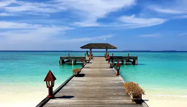 The Barefoot Eco