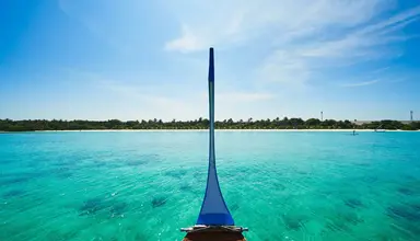 The Barefoot Eco