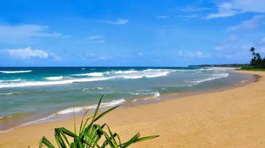 The Beach Cabanas Retreats & Spa