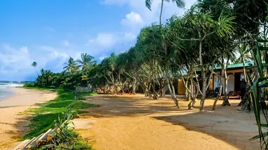 The Beach Cabanas Retreats & Spa