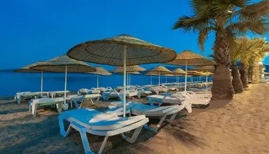 The Beachfront