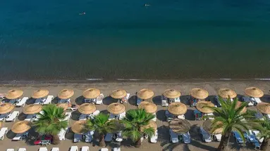 The Beachfront
