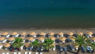 The Beachfront
