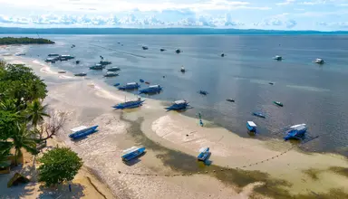 The Bellevue Resort Bohol