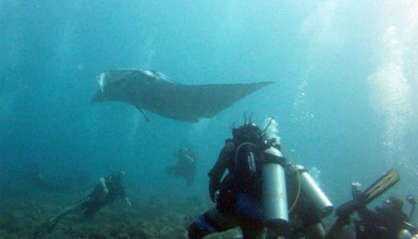 The Best of Maledives - ScubaSpa - Pakiet Nurkowy