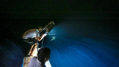 The Best of Maledives - ScubaSpa - Pakiet SPA
