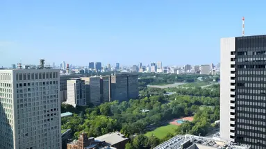 The Blossom Hibiya