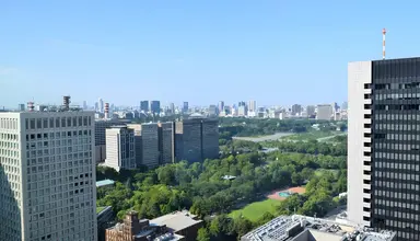 The Blossom Hibiya