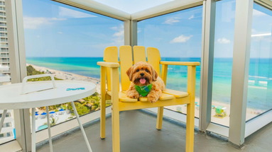 The Confidante Miami Beach
