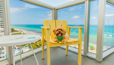 The Confidante Miami Beach