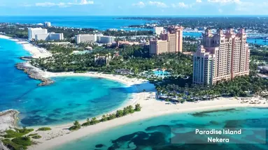 The Coral at Atlantis