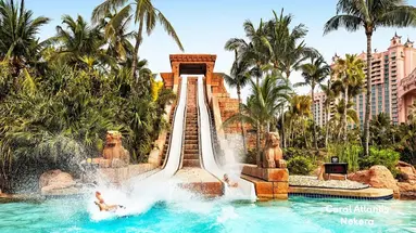 The Coral at Atlantis