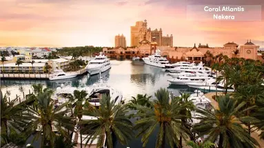The Coral at Atlantis