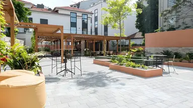 The Editory Garden