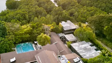 The Funny Lion Coron