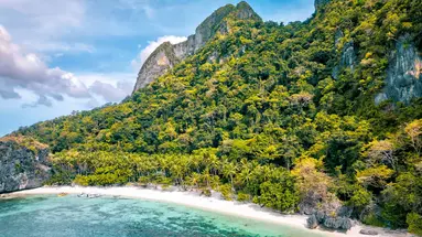 The Funny Lion El Nido