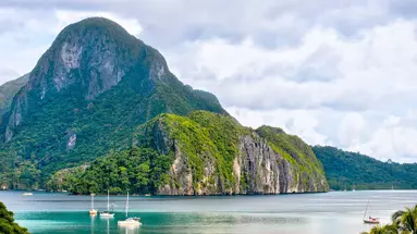 The Funny Lion El Nido