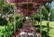 The Garden Beach (Konakli)