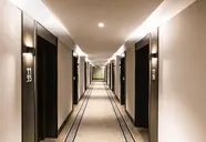 The Grace