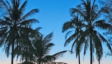 The Haven Khaolak