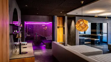 The Hide