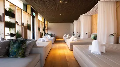 The Hide