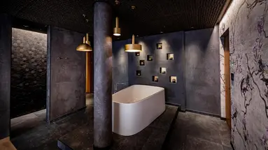 The Hide