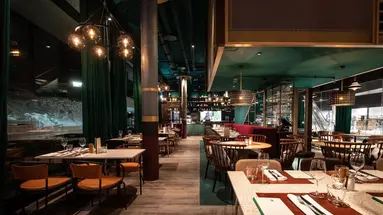 The Hide