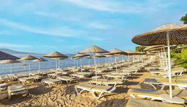 The Holiday Resort